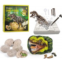 Dinosaur Fossil Digging Kit for kids Dig It Up! Dinosaur Eggs Excavation Kit Jurassic Park Dino Fossil Dig Kit Great STEM Science Kit Gift for Paleontology and Archeology Enthusiasts of Any Age