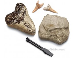 Discovery #MINDBLOWN Mini Fossil Dig Set 2 Pack Real Shark Teeth Excavation Kit Interactive Archaeology Paleontology Experiment Learn Science Fun and Educational STEM Toy for Kids Ages 6 and Up