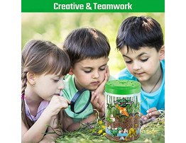 DIY Light Up Dinosaurs Terrarium Kit for Kids with LED Light- Create Your Customized Mini Plant Garden in a jar Plant Growing Kit Bedroom Decor Dino Gifts for Boys and Girls Age 3 4 5 6 7 8-12