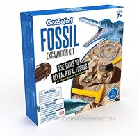 Educational Insights GeoSafari Fossil Excavation Kit Kids Science Kit Dinosaur Science Toy Ages 7+