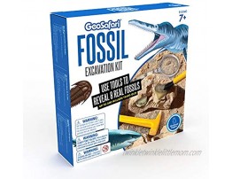 Educational Insights GeoSafari Fossil Excavation Kit Kids Science Kit Dinosaur Science Toy Ages 7+