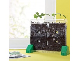 Educational Insights Sprout & Grow Window Plant Growing Kit Science Kit for Homeschool & Classrooms Ages 5+