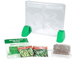 Educational Insights Sprout & Grow Window Plant Growing Kit Science Kit for Homeschool & Classrooms Ages 5+