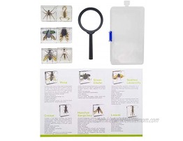 ELifeBox 6 PCS Insect Specimen Set,Cicada,Wasp,Spider,Scorpion,Locust,Chafer Resin Collection Science Toys