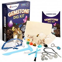 Gem dig kit with 12 Real Gemstones Science kit s for kids Stem activities for kids ages with Excavation Tools Goggles &amp;amp; Storage Bag Keychain Archeology Rock Collection for Kids