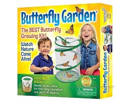 Insect Lore BH Butterfly Growing Kit With Voucher to Redeem Caterpillars Later