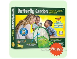 Insect Lore Butterfly Garden Home School Edition
