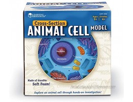 Learning Resources Cross-Section Animal Cell Model Soft Foam Early Biology Classroom Teaching Aid Grade 4+ Ages 9+