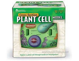 Learning Resources Cross-Section Plant Cell Model Plant Anatomy Science Classroom Accessories 2 Foam Pieces Ages 7+
