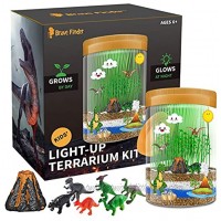 Light-up Dino World Terrarium Kit 6 Dinosaur Toys with Colorful LED on Lid STEM Educational DIY Science Kit Create Your Own Customized Mini Dinosaur World Best Gifts for Boys & Girls Kids Toy
