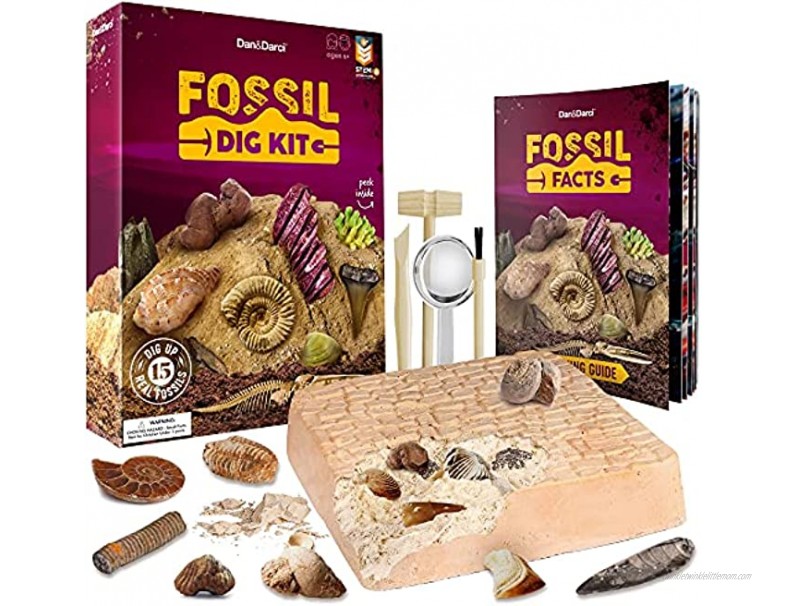 Mega Fossil Dig Kit Dig Up 15 Real Fossils Dinosaur Bones Shark Teeth & More Dinosaur Digging Kids Activities STEM Science Toys for Kids Dinosaur Toys Gifts for Boys and Girls