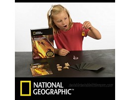 NATIONAL GEOGRAPHIC Amber Exploration Science Kit Polish Real Amber Specimens to Find Preserved Bugs Leaves and More An Exciting STEM Science Kit for Kids with a Real Scorpion Keychain Included