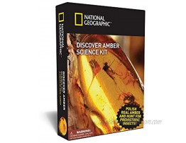 NATIONAL GEOGRAPHIC Amber Exploration Science Kit Polish Real Amber Specimens to Find Preserved Bugs Leaves and More An Exciting STEM Science Kit for Kids with a Real Scorpion Keychain Included