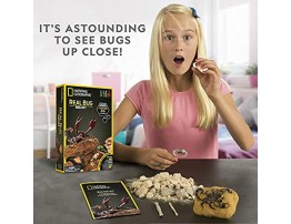 NATIONAL GEOGRAPHIC Real Bug Dig Kit Dig up 3 Real Insects including Spider Fortune Beetle and Scorpion Great STEM Science gift