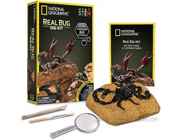 NATIONAL GEOGRAPHIC Real Bug Dig Kit Dig up 3 Real Insects including Spider Fortune Beetle and Scorpion Great STEM Science gift