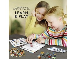 NATIONAL GEOGRAPHIC Rock Bingo Game -Play Rock Bingo Mineral Memory Gemstone Trivia & Your Favorite Card Games Collection Includes Over 150 Rocks and Minerals Great Educational STEM Toys for Kids
