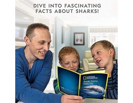 NATIONAL GEOGRAPHIC Shark Tooth Dig Kit Excavate 3 Real Shark Fossils Including Sand Tiger Otodus and Crow Shark Great Science Gift for Marine Biology Enthusiasts of Any Age