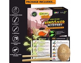 Nature Gear Glow in The Dark 12 Mystery Excavation Adventure Dinosaur Eggs Kit Science STEM Learning Kids Activity