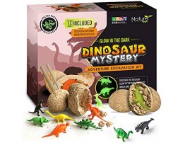 Nature Gear Glow in The Dark 12 Mystery Excavation Adventure Dinosaur Eggs Kit Science STEM Learning Kids Activity