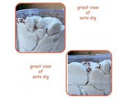 NAVAdeal Sand Ant Farm with Connecting Tubes Habitat Educational & Learning Science Kit Toy For Kids & Adults Allows Study of Ecosystem Behavior of Ants Explore The World At Home and School