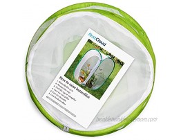 RESTCLOUD Insect and Butterfly Habitat Cage Terrarium Pop-up 12 x 14 Tall