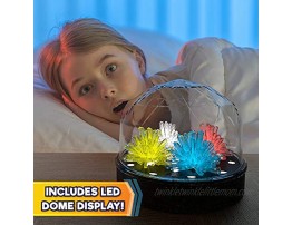 Science Kit For Kids Crystal Growing Kit + Light Up Display Dome for Kids by Creative Kids Make Your Own Grow 4 Large Crystals DIY Educational Experiment STEM Birthday Crafts Gift for Boys & Girls