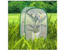 Scotamalone Collapsible Butterfly Habitat Garden Cage Butterfly Cage Butterfly House Insect Net Terrarium Net Pop-up 23.6 Inches Tall White Green Kids Butterfly Net for Watching Butterfly Life Cycle