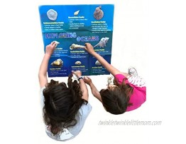 The Magic School Bus Rides Again: Exploring Oceans by Horizon Group USA Homeschool STEM Kits for Kids Includes Hands-On Educational Manual Collector Cards Sea Shells Game Cards Sea Salts & More