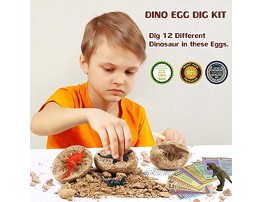 VATOS Dinosaur Eggs Dig Kit 12 Pack,Discover 12 Different Dinos Easter Eggs Archaeology and Paleontology Toy Dino Egg Excavation Kit STEM Toys for 6,7,8,9 Year Old Boys Girls Kids Gift
