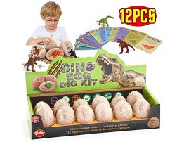 VATOS Dinosaur Eggs Dig Kit 12 Pack,Discover 12 Different Dinos Easter Eggs Archaeology and Paleontology Toy Dino Egg Excavation Kit STEM Toys for 6,7,8,9 Year Old Boys Girls Kids Gift