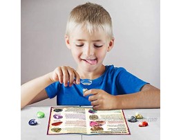 XXTOYS Jumbo Gems Dig Kit Dig Up 18 Real Gemstones for Kids Rocks and Minerals Crystals Mining Science Kits Great Geology Archeology Gift for Boys & Girls Educational STEM Toys