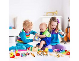 iBaseToy Toddler Instruments Toddler Musical Instrument Set Kids Instruments for Kids Preschool Education 16 Types 23pcs Musical Toys Set for Boys and Girls with Storage Bag