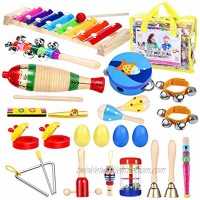 iBaseToy Toddler Instruments Toddler Musical Instrument Set Kids Instruments for Kids Preschool Education 16 Types 23pcs Musical Toys Set for Boys and Girls with Storage Bag