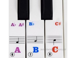 Yosoo Piano Stickers for Keys Removable Colorful Piano Keyboard Stickers for 61 Full Set Stickers for Kids Beginner Learning Piano