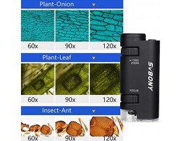 SVBONY SV603 Pocket Microscope for Adults Kids Mini Portable Handheld Microscope 60x-120x with LED Lighting Magnifying Glass,1x AAA Battery Included