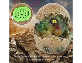 4 Pieces of Dinosaur Baby Egg Toy ,with Lights and Dino Sounds Hatching Dinosaur Baby,Realistic ​Toy Soft Dinosaur for Cool Kids and Toddler EducationT-Rex Triceratops Ankylosaurus,Pterosauria