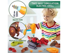 Deejoy Take Apart Dinosaur Toys for Kids 3-5,Dinosaur Toys Building Toys Set with Electric Drill,STEM Construction Dinosaur Action Figures,Birthday Gifts for Boys and Girls Age 3 4 5 6 7 8 Year Old