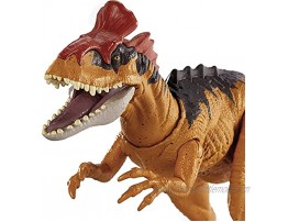 Jurassic World Sound Strike Cryolophosaurus Figure with Strike and Chomping Action Realistic Sounds Movable Joints Authentic Color and Texture; Ages 4 and Up