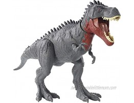 Jurassic World Tarbosaurus Massive Biters Larger-Sized Dinosaur Action Figure with Tail-Activated Strike and Chomping Action Movable Joints Movie-Authentic Detail Ages 4 and Up [ Exclusive]