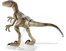 Jurassic World Toys Amber Collection Velociraptor Dinosaur Figure Collectible Toy 6-in Scale Posable Joints Authentic Look & Stand for 8 Years Old & Up