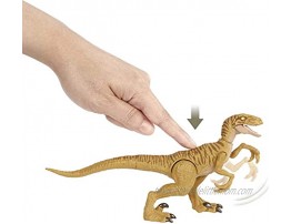 Jurassic World Velociraptor Claw Slash Savage Strike Dinosaur Action Figure Smaller Size Attack Move Iconic to Species Movable Arms & Legs Great Gift for Ages 4 Years Old & Up