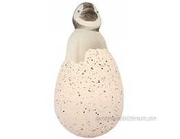 NURCHUMS Hatching Egg Hatch and Grow Pet Penguin Large 11cm