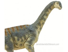 Safari- Camarasaurus Dinosaurs and Prehistoric Creatures Multicolor S100309
