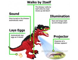 Walking Dinosaur T-Rex Tyrannosaurus Rex Robot Red14 inch Toy for Boys Girls with Realistic Dinosaur Roar Moves Head While Making Roaring Sound LED Light Projects a Graphic on the Ground Lays Egg