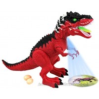 Walking Dinosaur T-Rex Tyrannosaurus Rex Robot Red14 inch Toy for Boys Girls with Realistic Dinosaur Roar Moves Head While Making Roaring Sound LED Light Projects a Graphic on the Ground Lays Egg