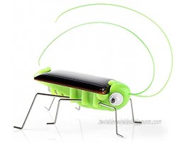Tianshui Children Toy Solar Powered Crazy Grasshopper Cricket Kit kids Gift