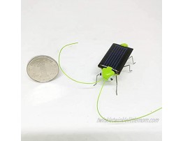 Tianshui Children Toy Solar Powered Crazy Grasshopper Cricket Kit kids Gift