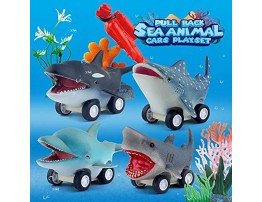 DINOBROS Sea Animal Pull Back Toy Cars Playset Ocean Game Set of 12Pcs Great White Shark Dolphin Killer Whale Toys for Boys and Toddlers 3 Year Olds and Up
