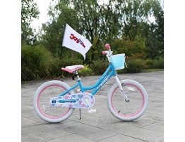 DRBIKE Kids Bike Basket for 12 14 16 18 inch Girls Bike Kid's Bicycle Basket with Flower Kids Bicycle Accessories