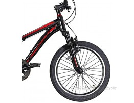 COEWSKE 20 Inch Kids Bike Enjoy-Style Children's Variable Speed Mountain Bike Sports Cycling 1 Speed 6 Speed with Kickstand Fit for 6-10 Years Old Or 48-60 Inch Tall Kids